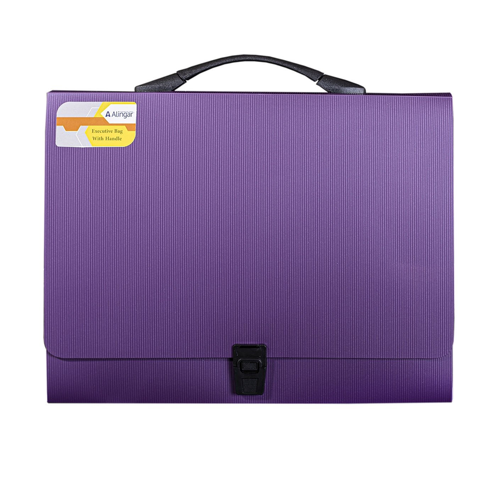 Папка-портфель на застежке Alingar, А4 360х265х40 мм, пластиковая, 800 мкм, ассорти, матовая, карман для визитки, "Flossy"