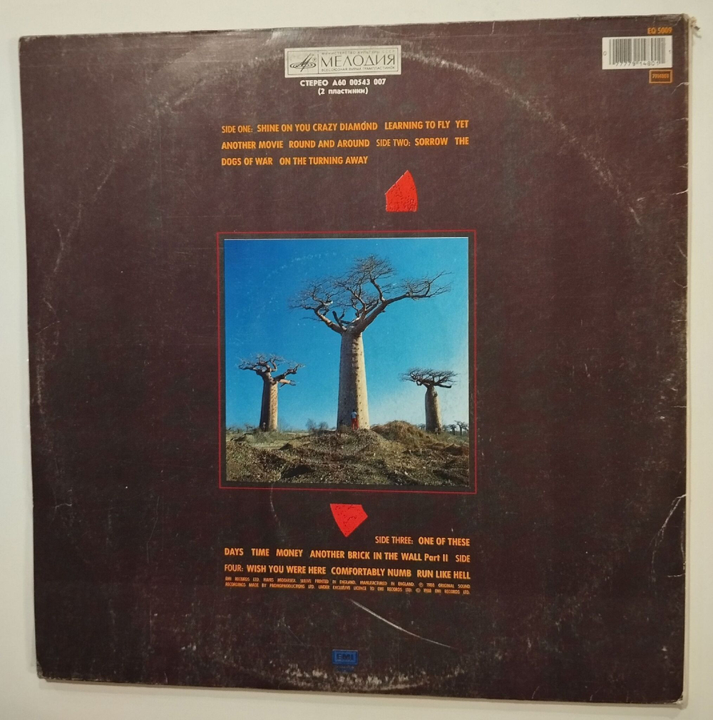 Винтажная виниловая пластинка LP Pink Floyd Delicate Sound Of Thunder (СССР 1990)