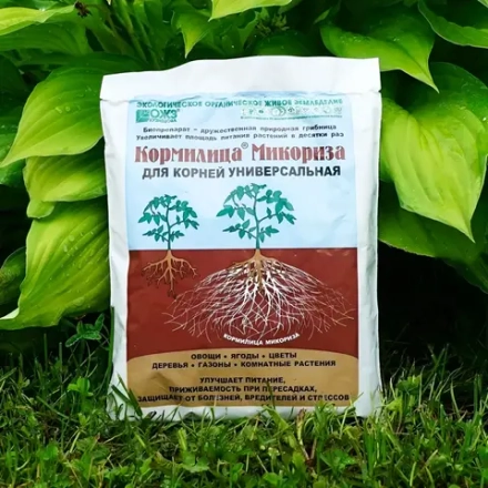 Микориза Кормилица 30 г 1 шт корнеобразователь для всех растений