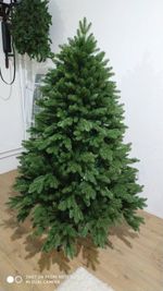 елка премиум "Парижанка"