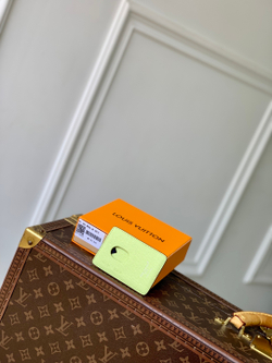 Louis Vuitton Porte Cartes Magnet