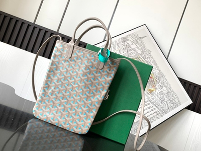 Goyard Poitiers Claire-Voie Bag