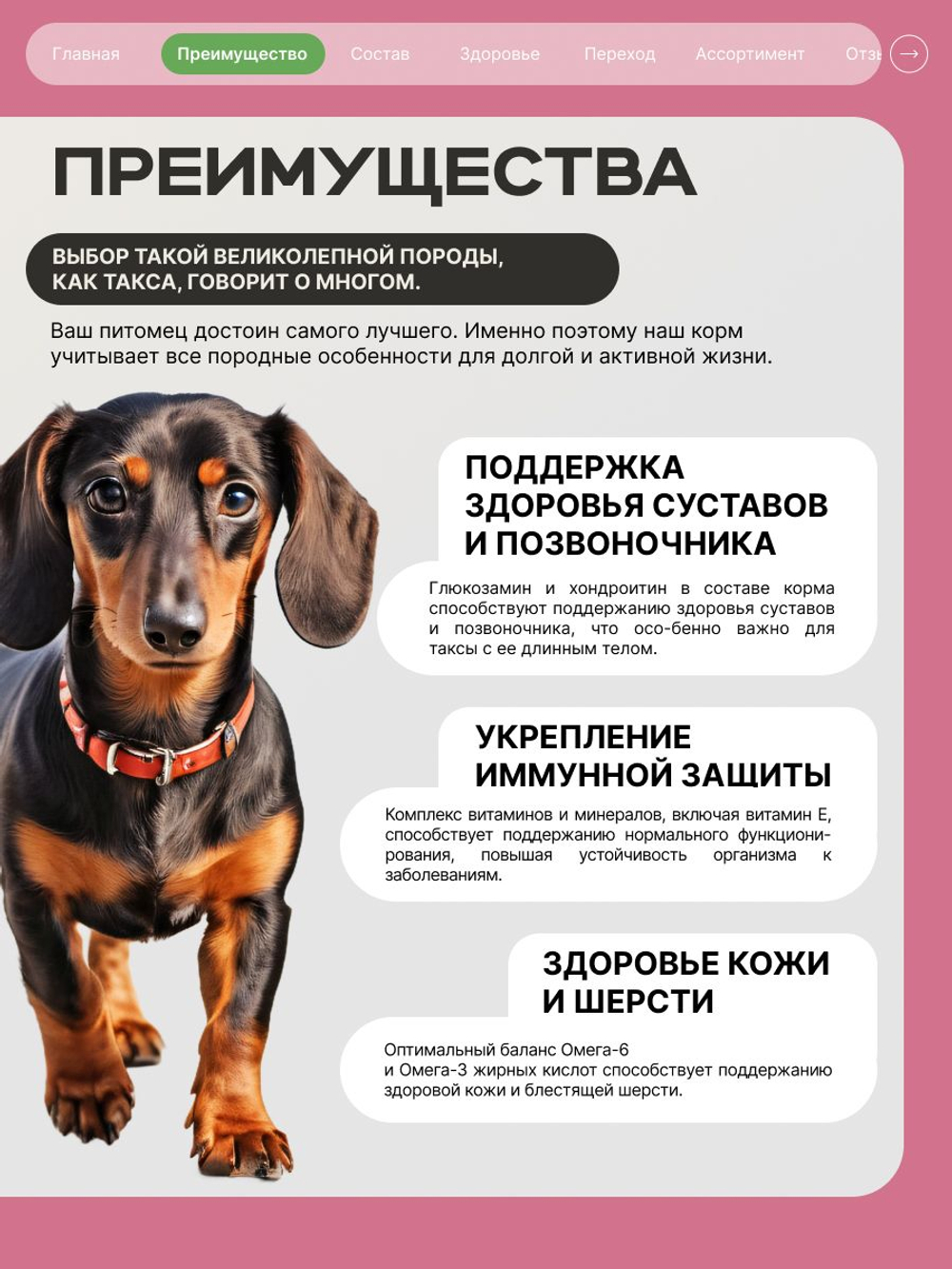 Корм сухой для взрослых собак породы Такса (стандартная), с ягненком, 2,5 кг, QUATTRO