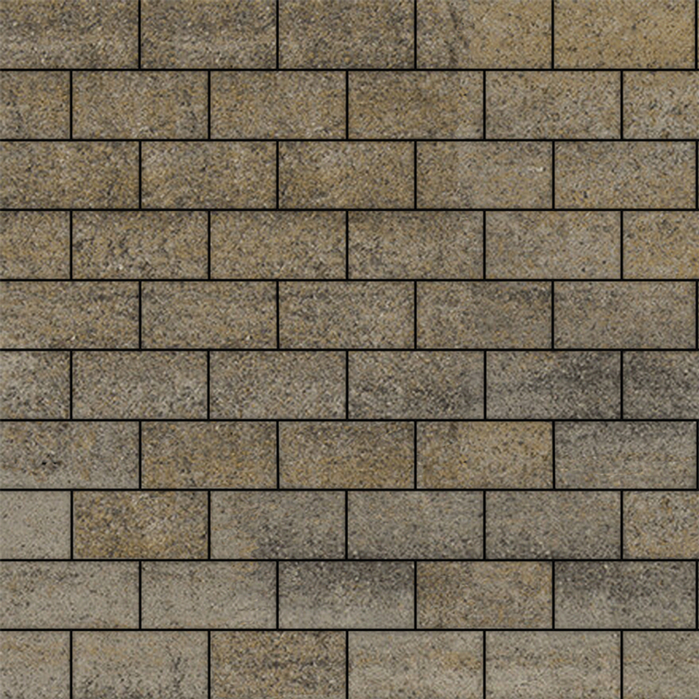 Тротуарная плитка ПРЯМОУГОЛЬНИК Б.2.П.6 200x100 мм Искусственный камень Базальт