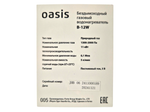Колонка газовая Oasis B-12W (бездымоходная)