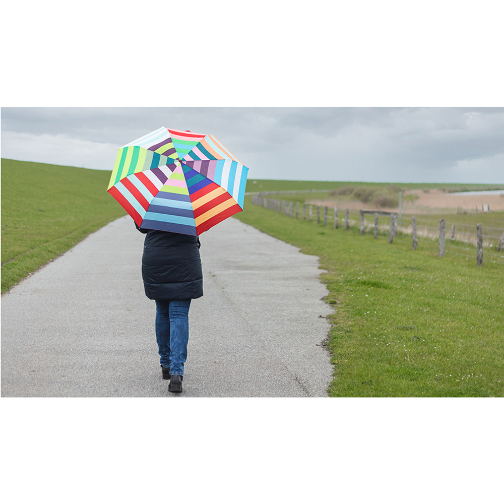 Зонт карманный allegra