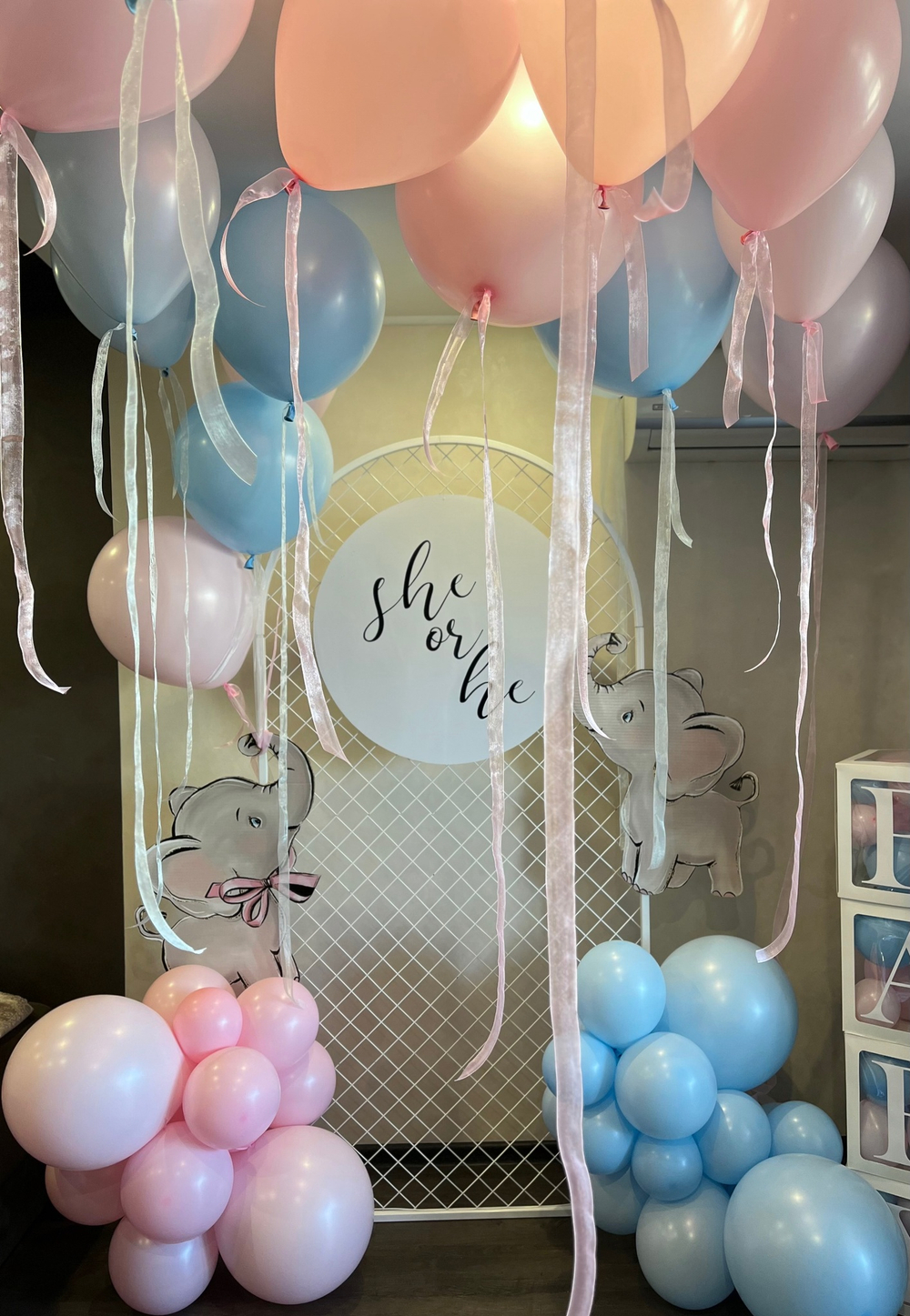 Фотозона на Гендер Пати определение пола №696