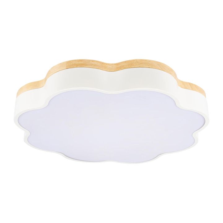 Потолочный светодиодный светильник Loft IT Axel 10225/36 White