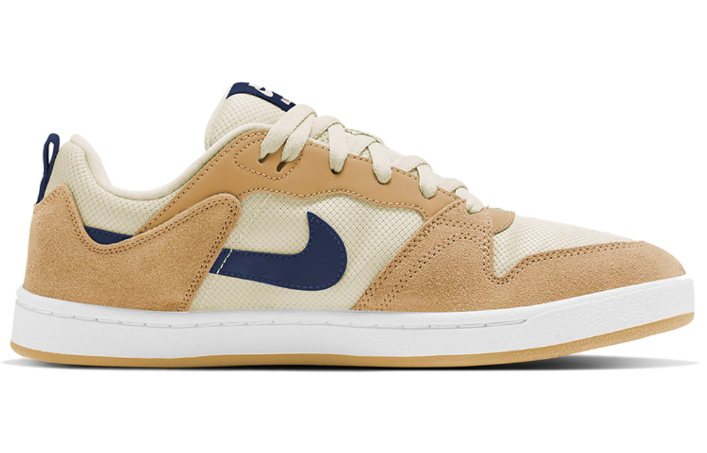 Кроссовки Nike Sb Alleyoop