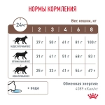 Сухой корм Royal Canin Gastrointestinal 350г