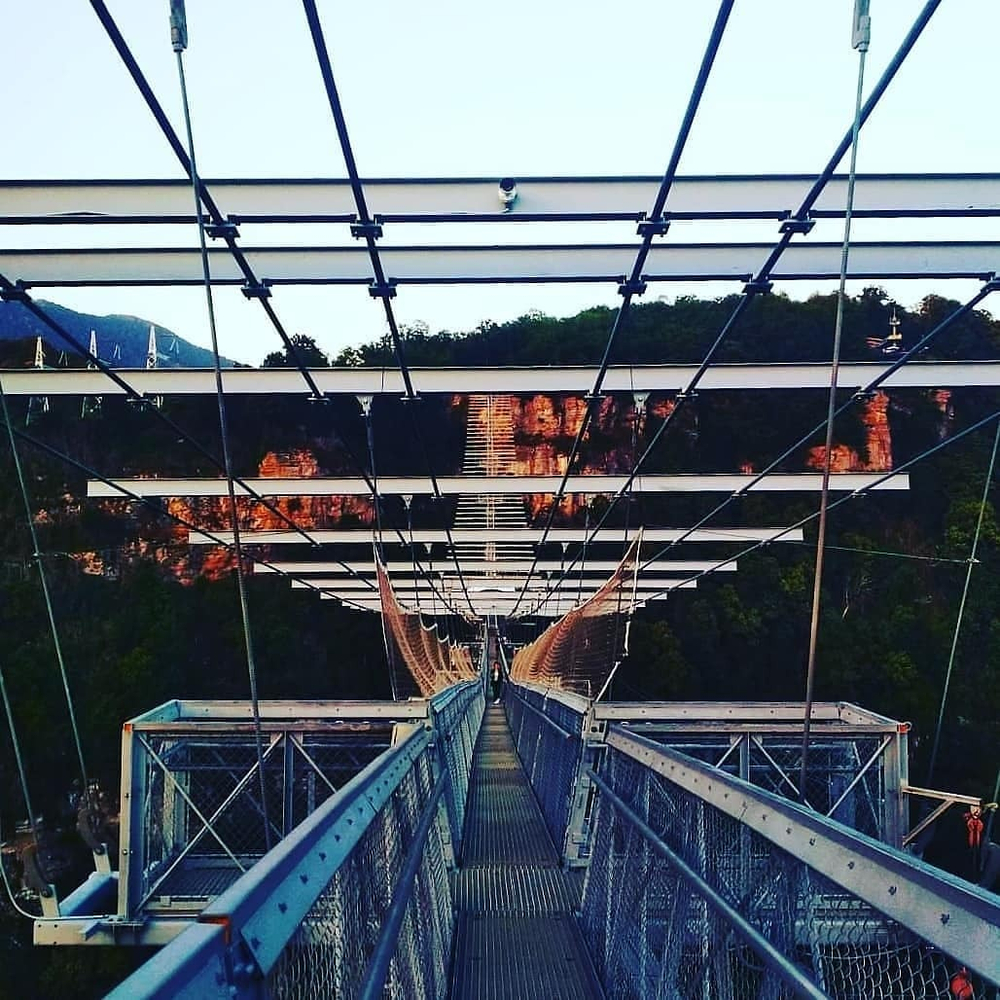 Грифон