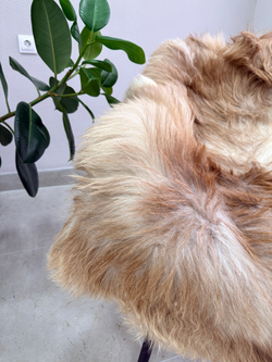 Шкура коврик меховой прикроватный овчина, 120х65 см.