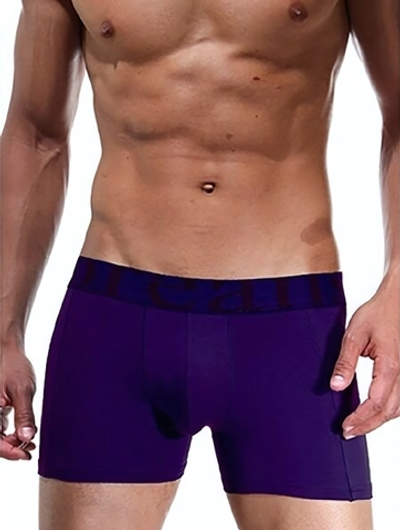 Удлинённые трусы-боксеры Doreanse Essential (Размер: L) (Цвет: фиолетовый)