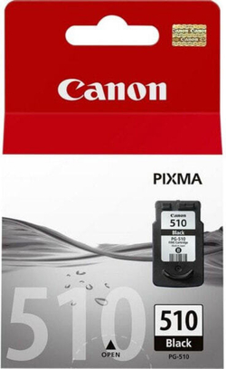 Картридж струйный черный 1 шт Canon CCICTO0243 2970B001