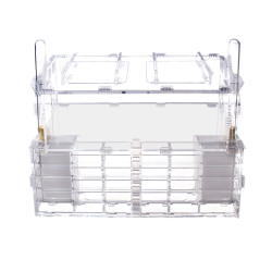 Crystal XL pro + колония Camponotus nicobarensis