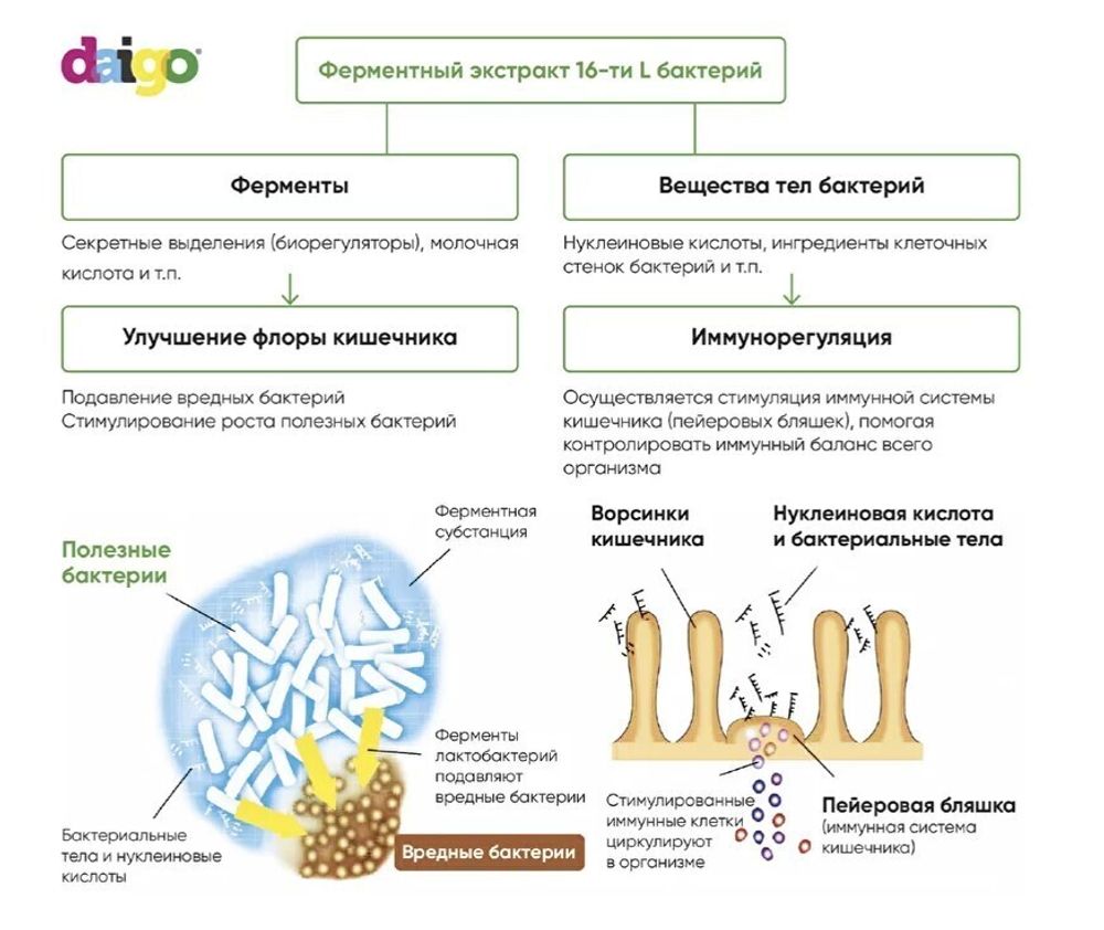 DIAGO Метабиотик Daigo (упаковка: 30 саше по 10 мл)