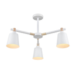 Потолочная люстра Lumion ROSALINA 8097/3C