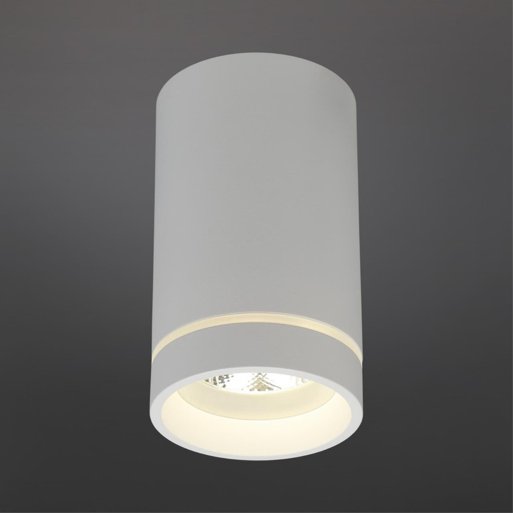 Накладной светодиодный светильник Aployt Edda APL.0054.09.10