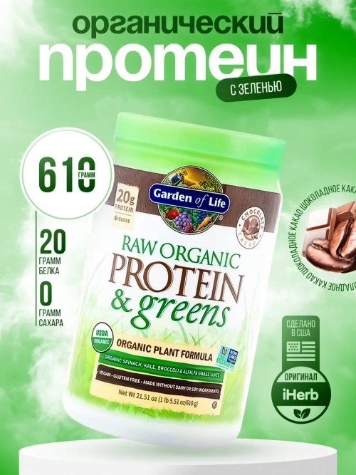 RAW Organic Растительный протеин шоколад 610 г
