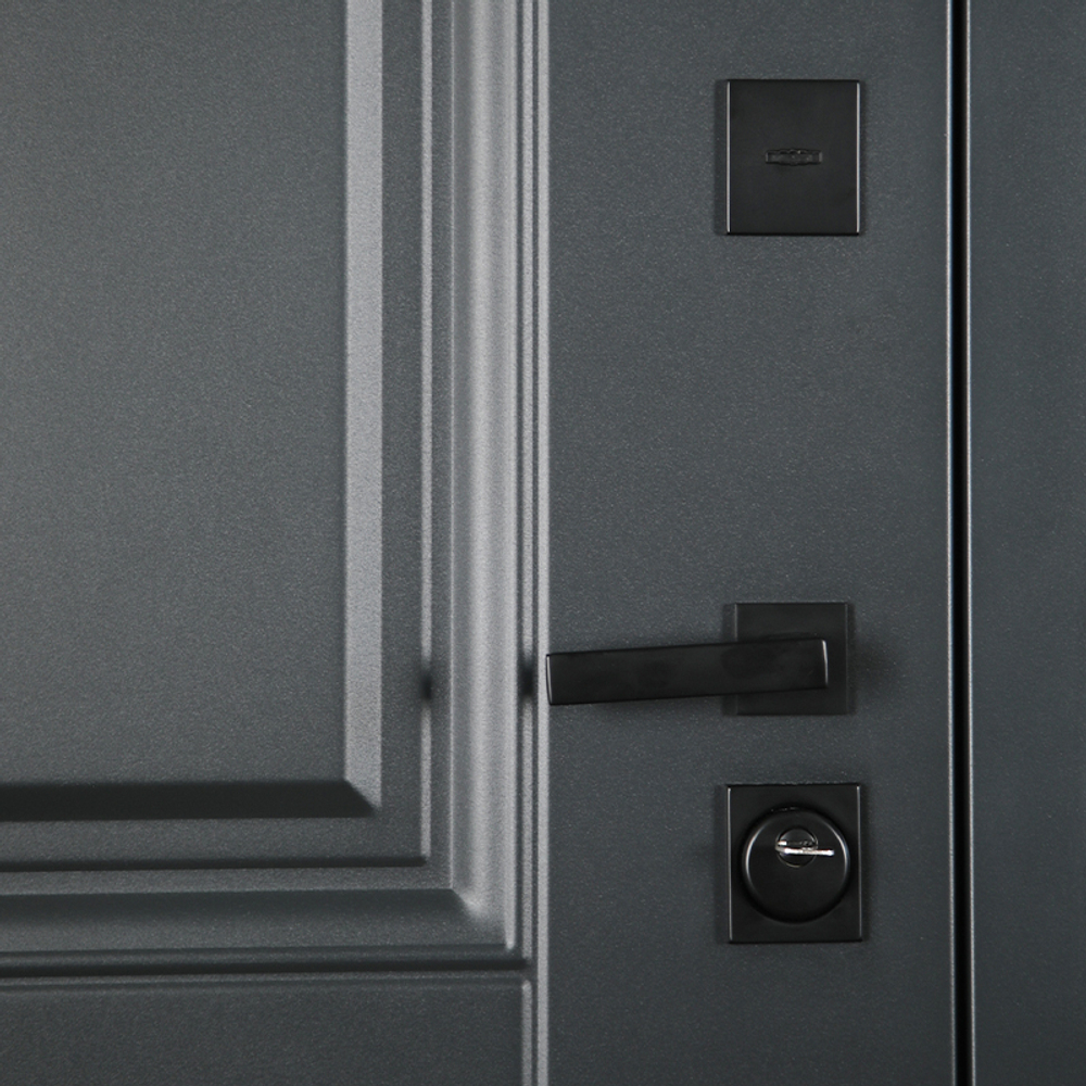 Входная дверь в квартиру  АСД Интер  2К  Муар серый / Ясень белый снег