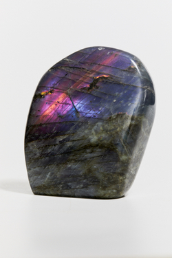 Срез Лабрадора M