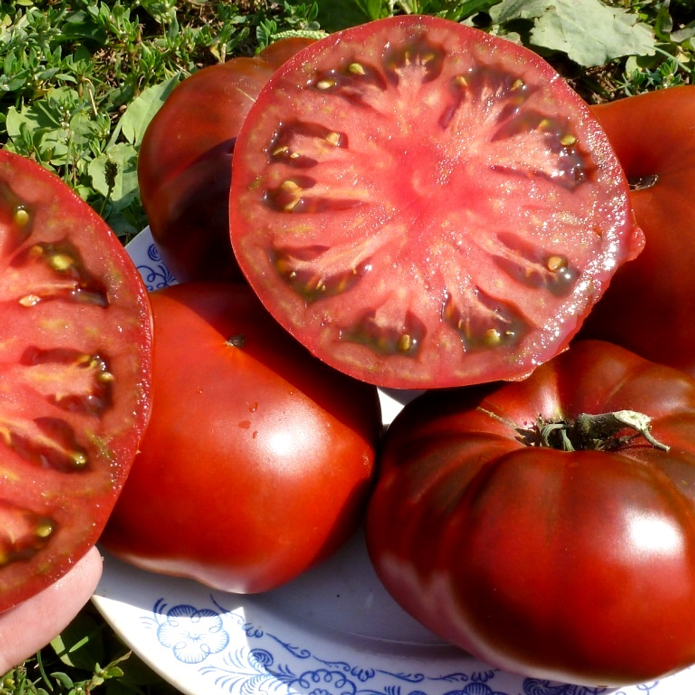 Помидоры Cherokee Chocolate