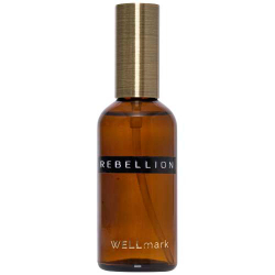 100 мл аэрозольный ароматизатор для помещений Wellmark