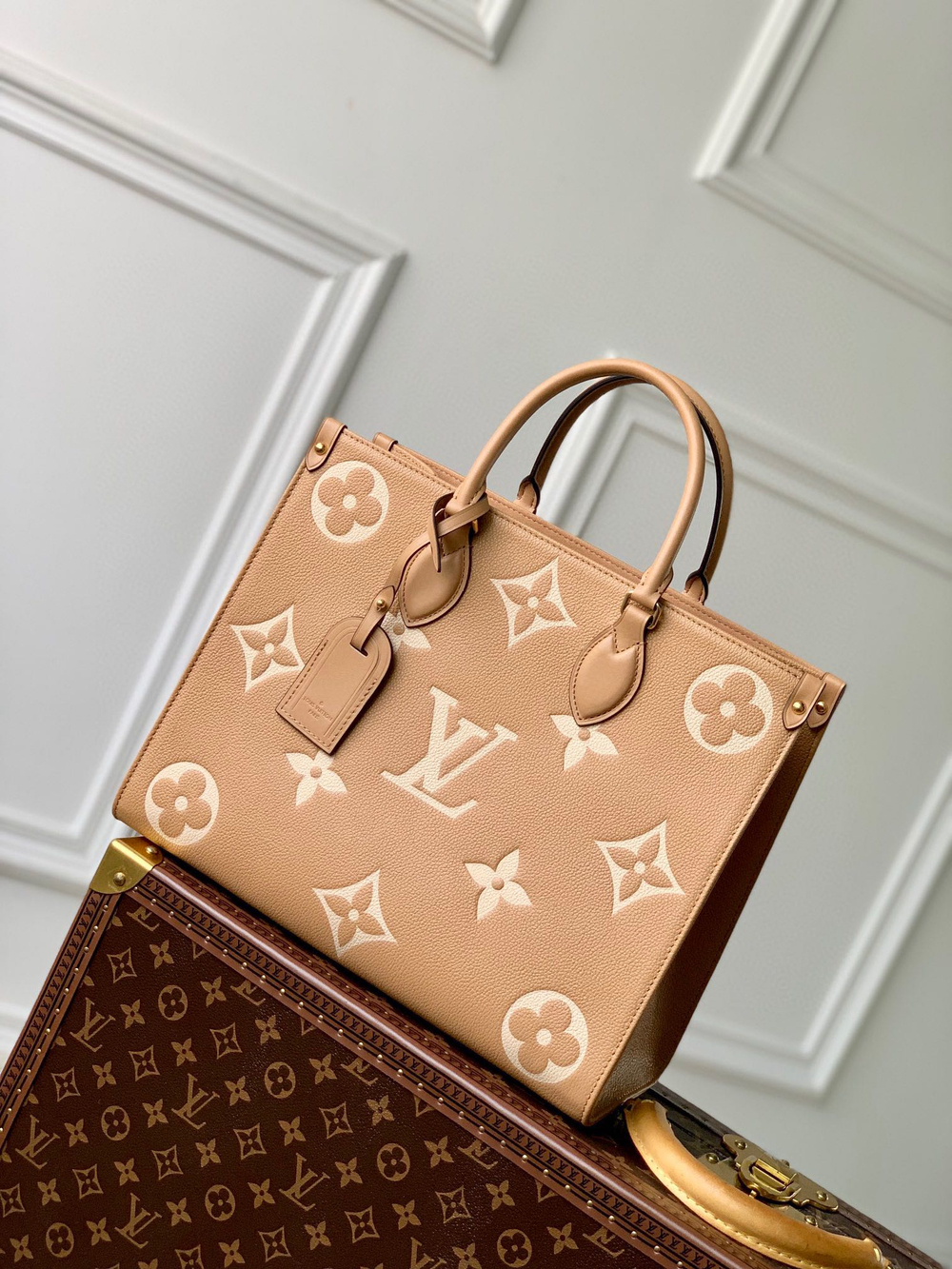 Louis Vuitton OnTheGo MM