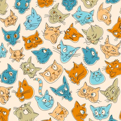 40 кошек и 1 хвост