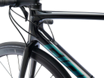 Шоссейный велосипед Giant TCR Advanced Pro 2 Disc (2021)