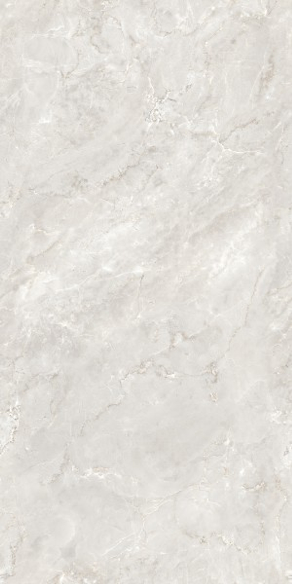 DELROY DOVE CZ-RT02-B