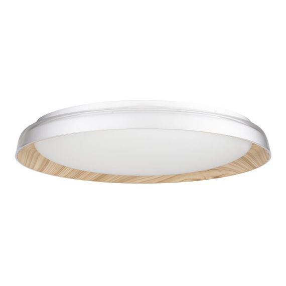 Потолочный светодиодный светильник Citilux Mega CL752452G