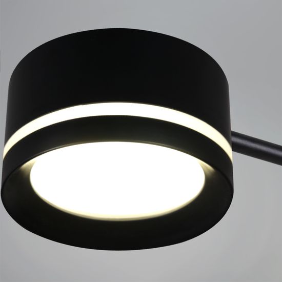 20590-0.3-6+6+1 Black светильник потолочный