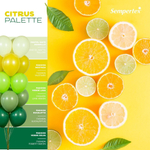 Шар 5" Темно-зеленый, Пастель / Forest Green 032 Sp