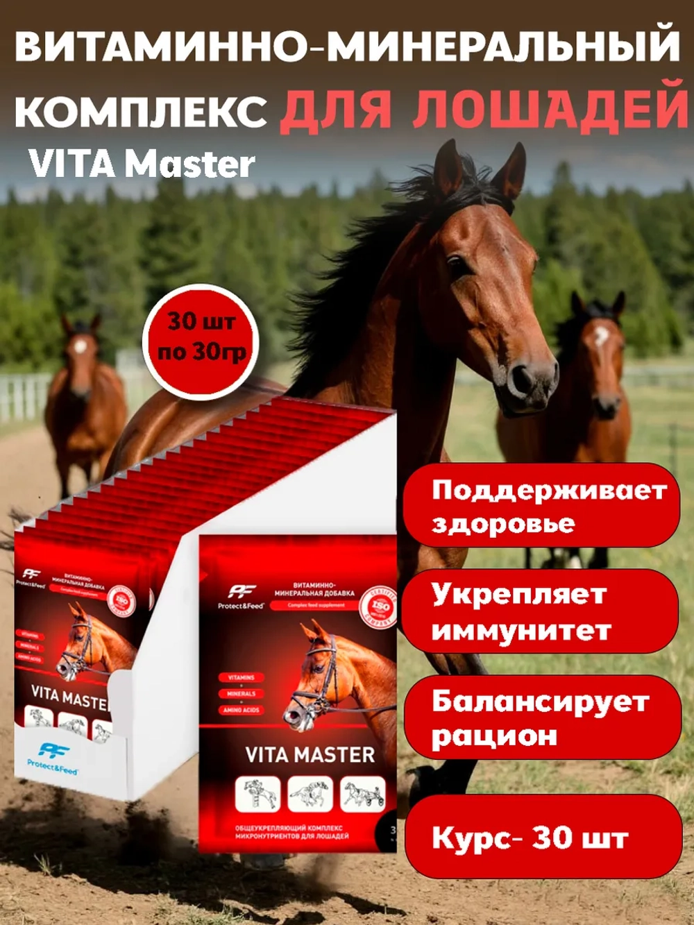 Витаминно-минеральный комплекс для лошадей Вита Мастер