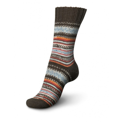 Regia Design Line PAIRFECT 4 ply - 09135 (fall night color color)