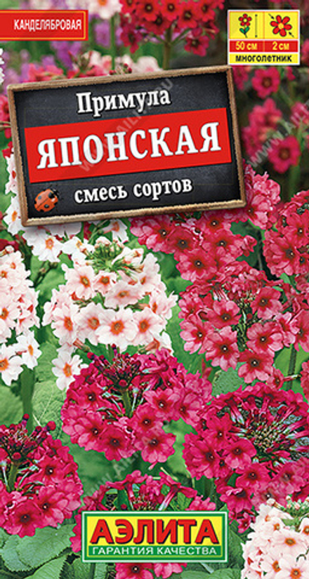 Примула Японская, смесь окрасок 20шт Аэлита
