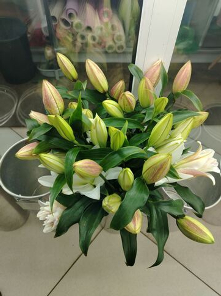 Букеь из 9 веток лилий +упаковка