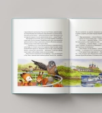 Рязанские страницы, или Тайна лисички Кики