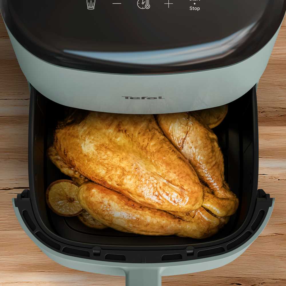 Аэрогриль Tefal Easy Fry Pop Eucalyptus EY2454E0