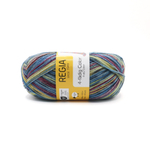 Regia Anniversary Color 4 ply - 04074 (angel color)