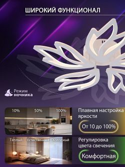 Потолочная люстра Natali Kovaltseva RIF LED LAMPS 81118/4C