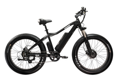 Электро-фэтбайк Медведь Hump 2x2