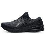 Кроссовки Asics GT-2000 10 2E, 1011B186-001
