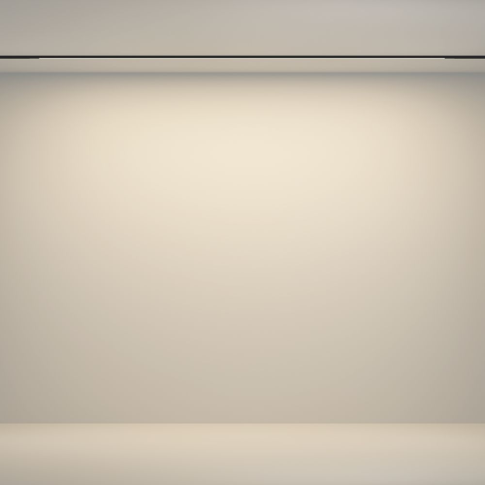 Трековый магнитный светодиодный светильник Maytoni Basity Flex TR180-1-24WTW-B