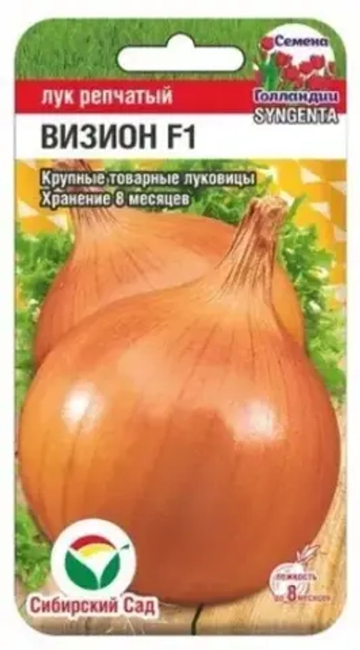 Лук репчатый Визион F1 50шт (Сиб Сад)