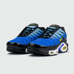 Кроссовки Nike Air Max Plus Tn Blue Yellow