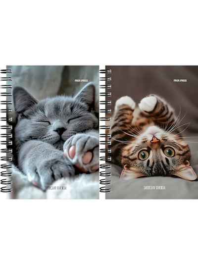 Записная книжка А6 120л. "Милые котики-6" на гребне, мелов.облистер (Проф-Пресс)