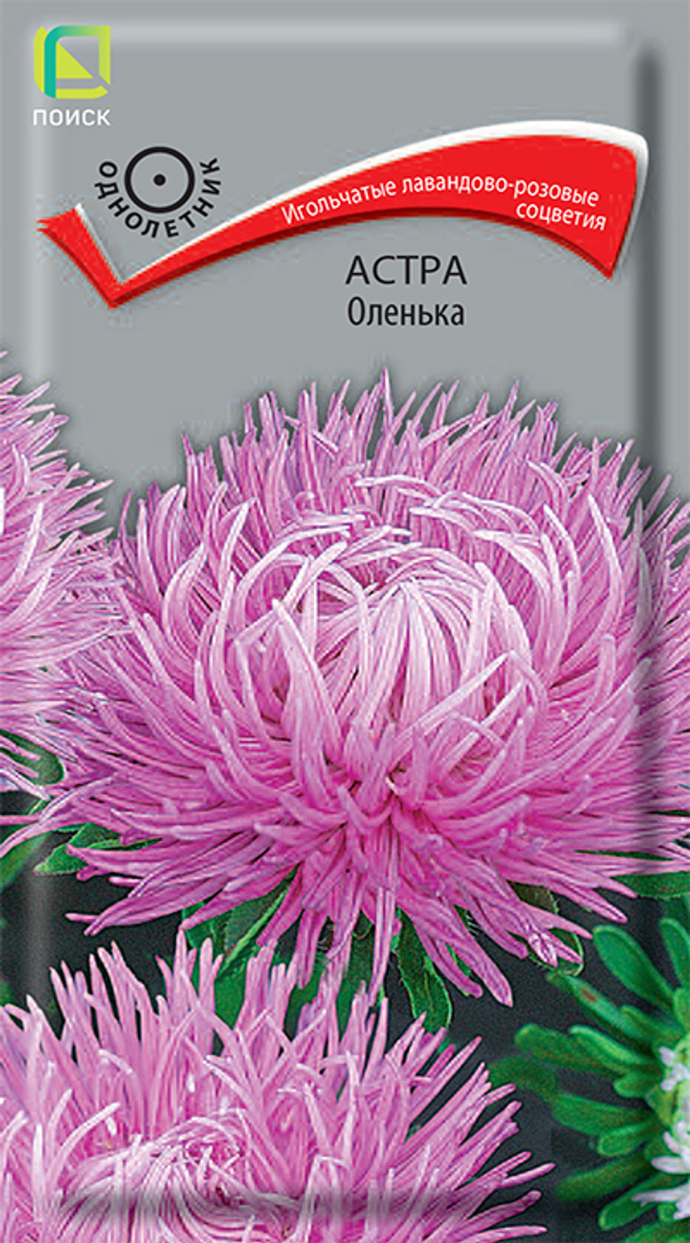 Астра Оленька