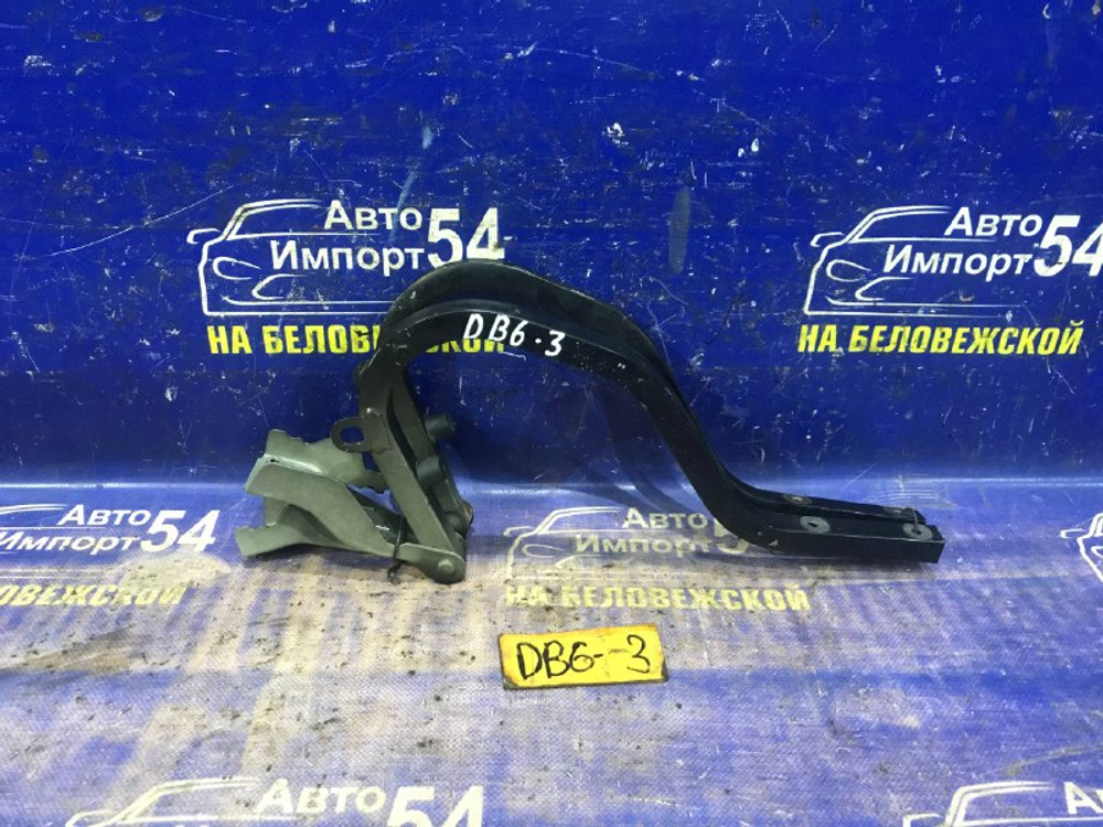 Петля багажника Honda INTEGRA 2000